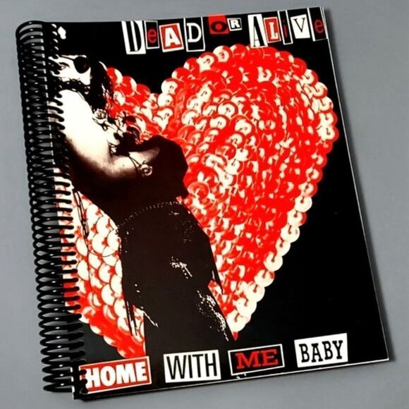 Dead Or Alive Pete Burns Album Cover Book - Picture 1 of 3